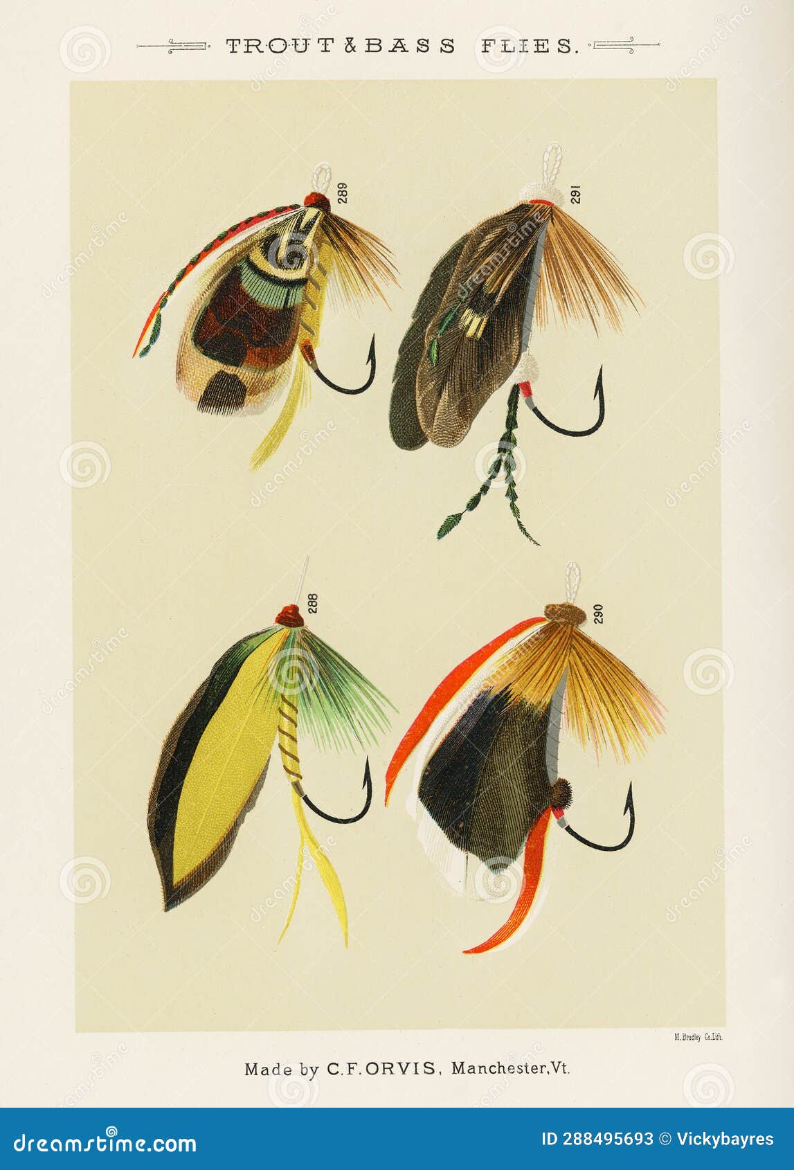 Flies Fly Fishing Stock Illustrations – 66 Flies Fly Fishing Stock  Illustrations, Vectors & Clipart - Dreamstime