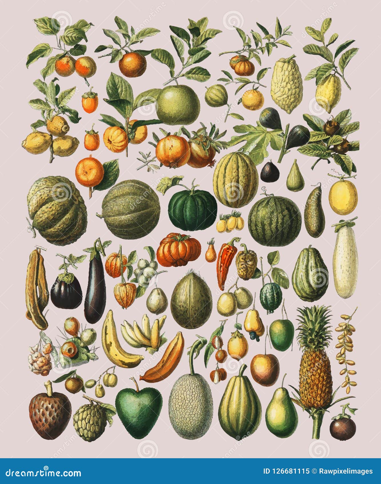 a vintage  of a wide variety of fruits and vegetables