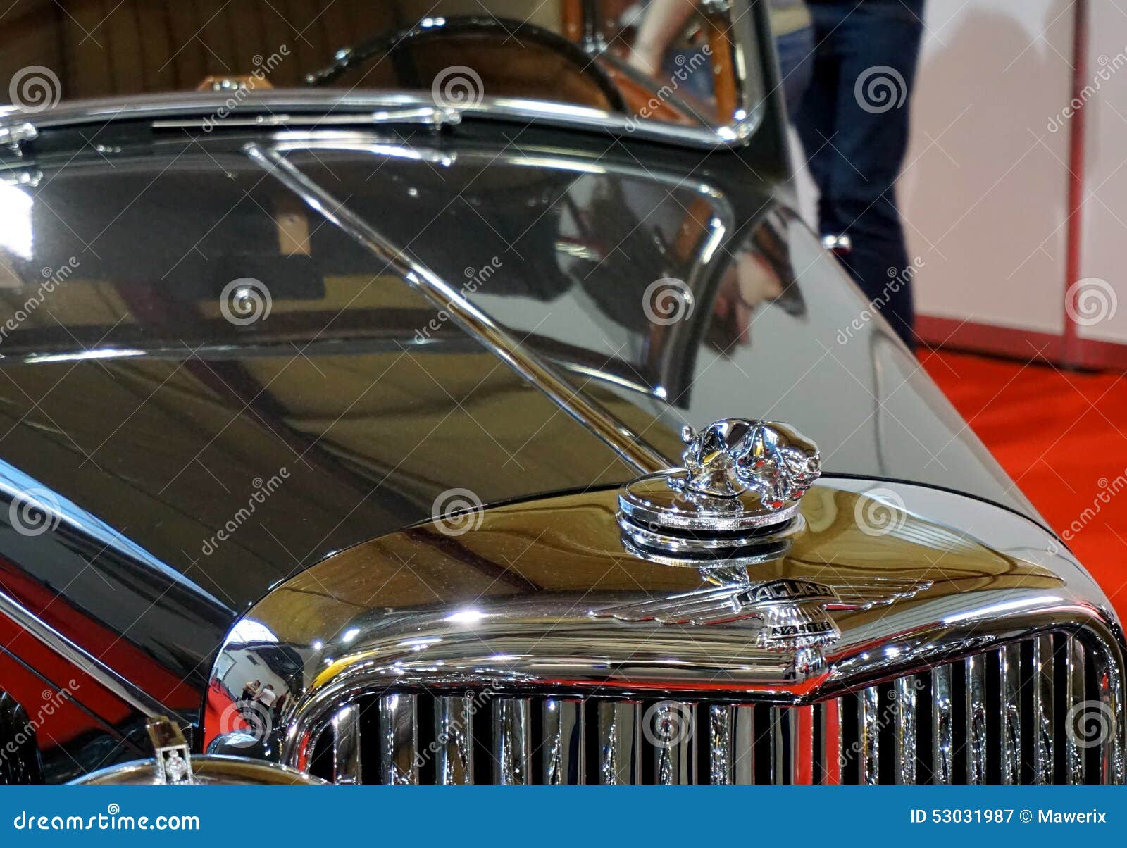 Vintage Jaguar sign editorial photography. Image of exhibition 53031987