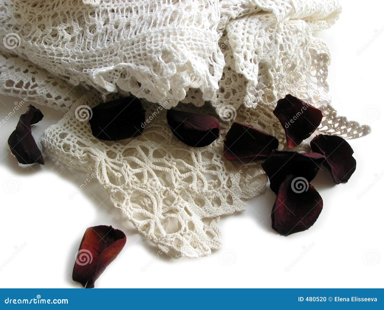 Vintage Lace and Rose Petals Stock Photo Image of petals, isolated