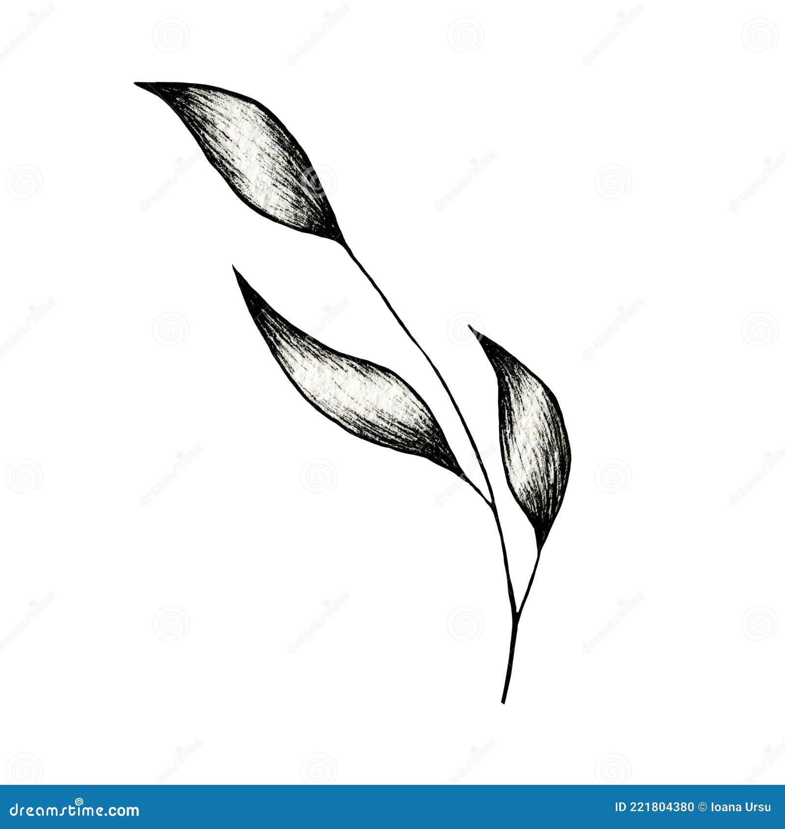 10 Leaf Drawing Step by Step Tutorials  Smiling Colors