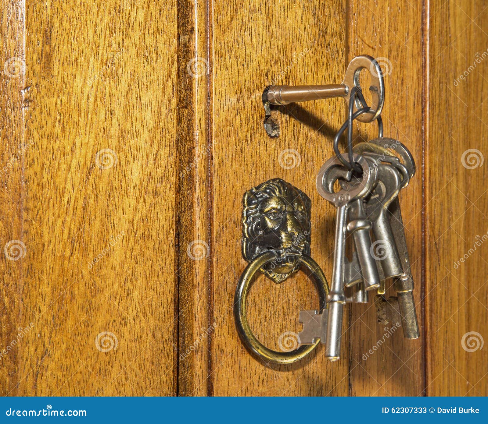 Skeleton Bit Key Vintage Antique Lock Key Mortise Lock Doors Uncut ab82 