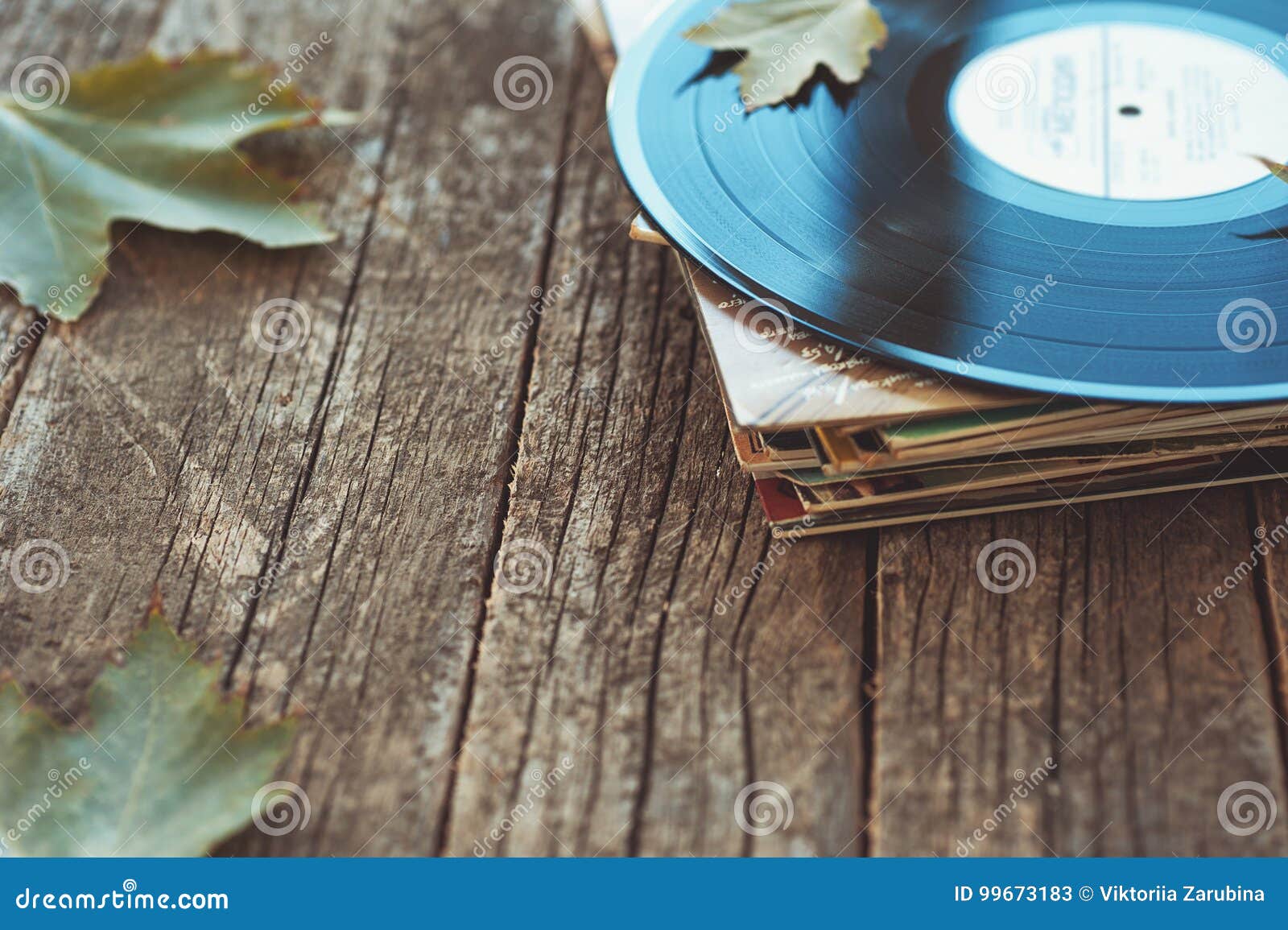 vintage old vinyl records on wooden autumn background, selective focus decorated with few leaves. music, fashion, texture,