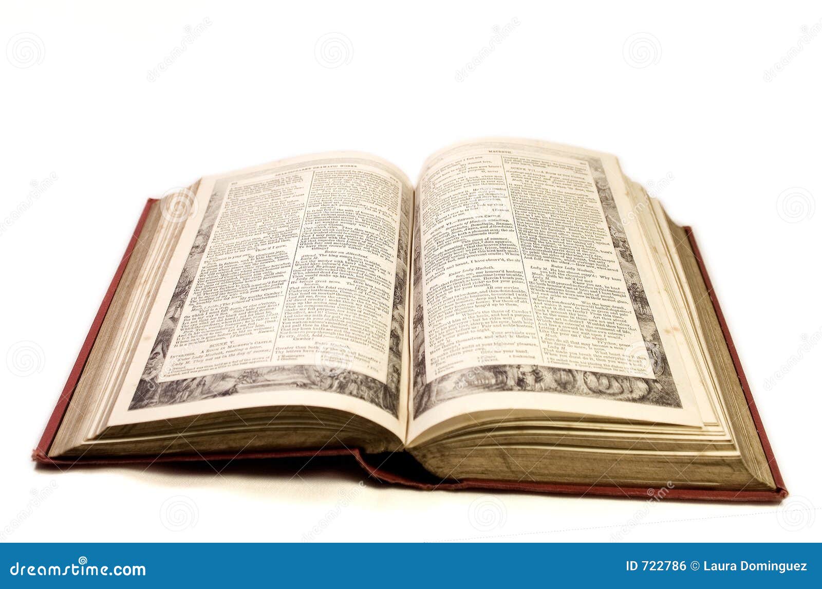 54,420 Vintage Open Book Stock Photos - Free & Royalty-Free Stock Photos  from Dreamstime