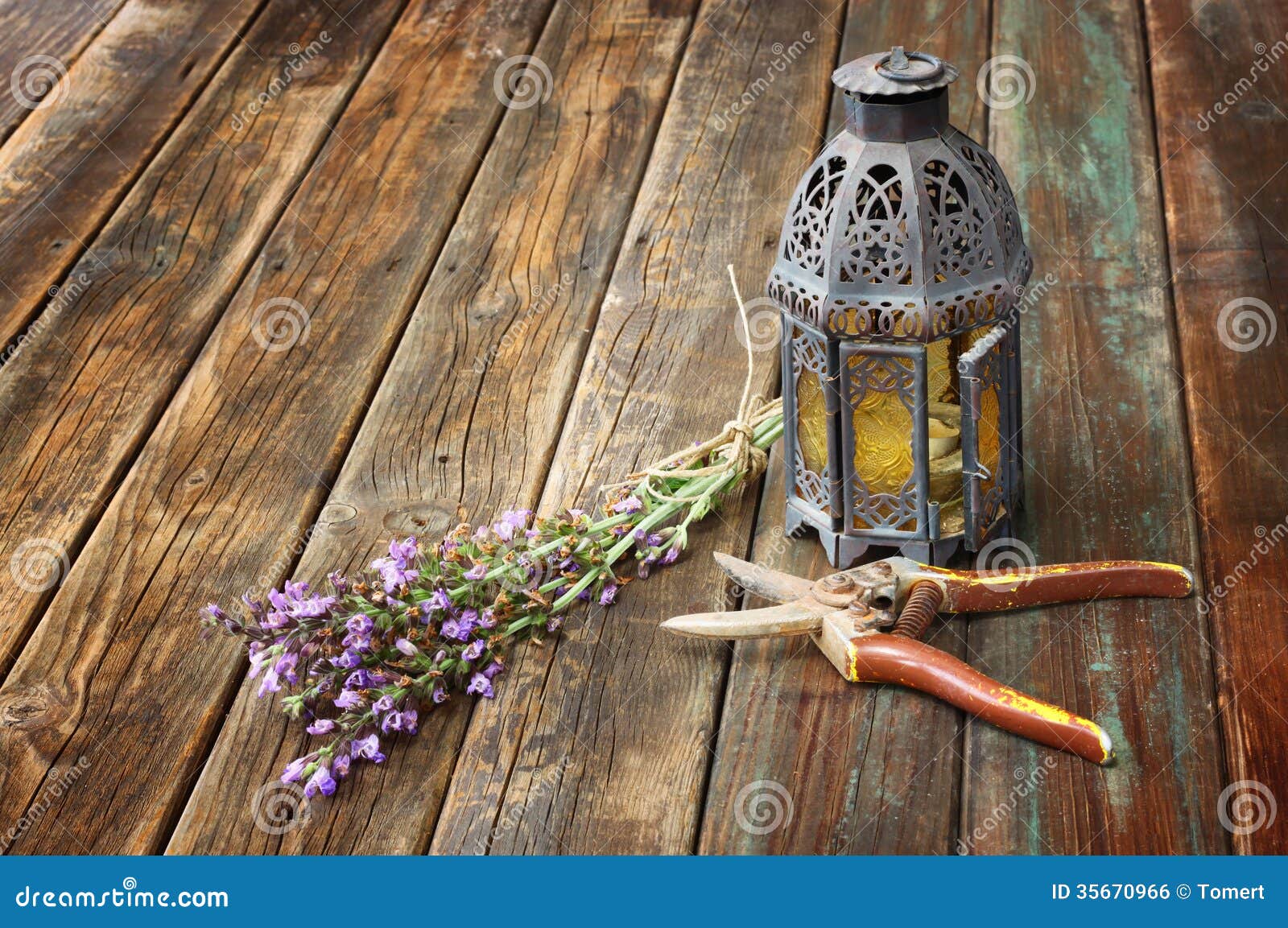 vintage oriental lamp, sage plant and garden scissors on