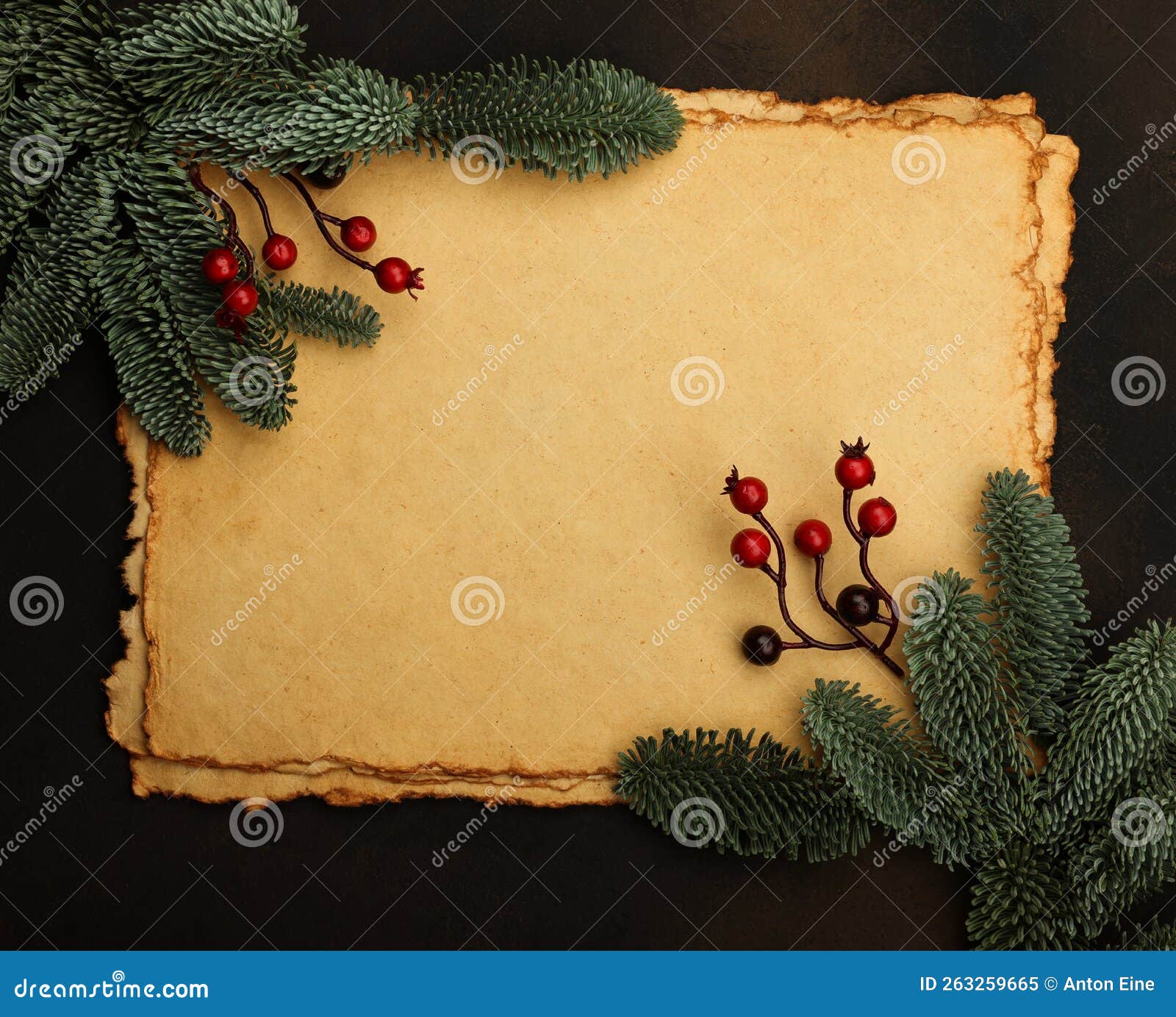 https://thumbs.dreamstime.com/z/vintage-paper-parchment-christmas-decoration-close-up-several-sheets-fresh-spruce-branches-golden-cones-red-holly-263259665.jpg