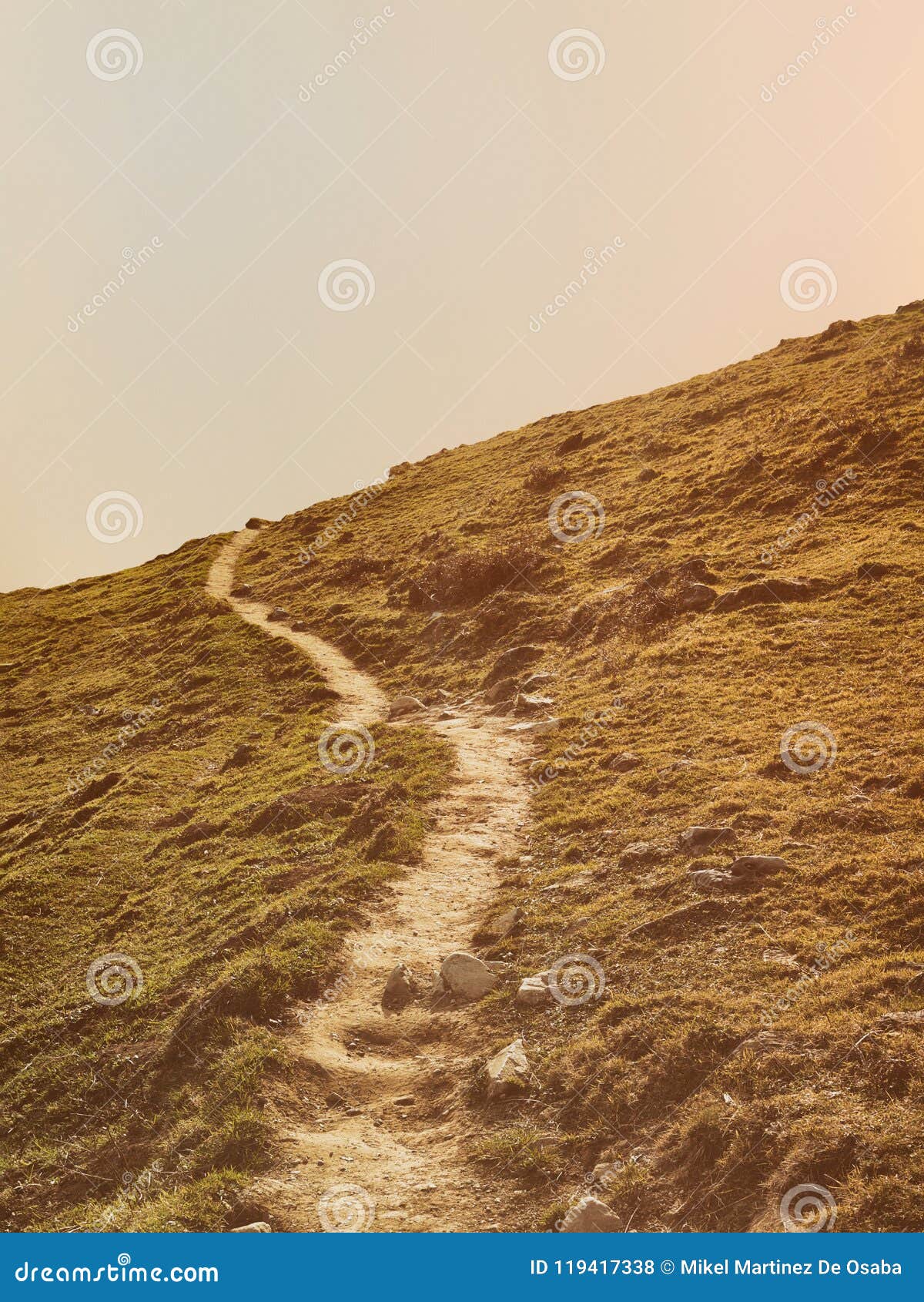 Vintage Path in the Mountain at Summer Stock Photo Image of copyspace
