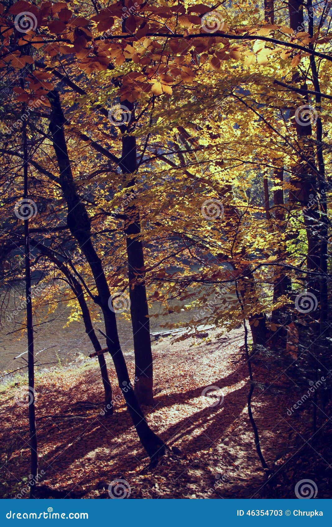 fall vintage scene fall vintage scene