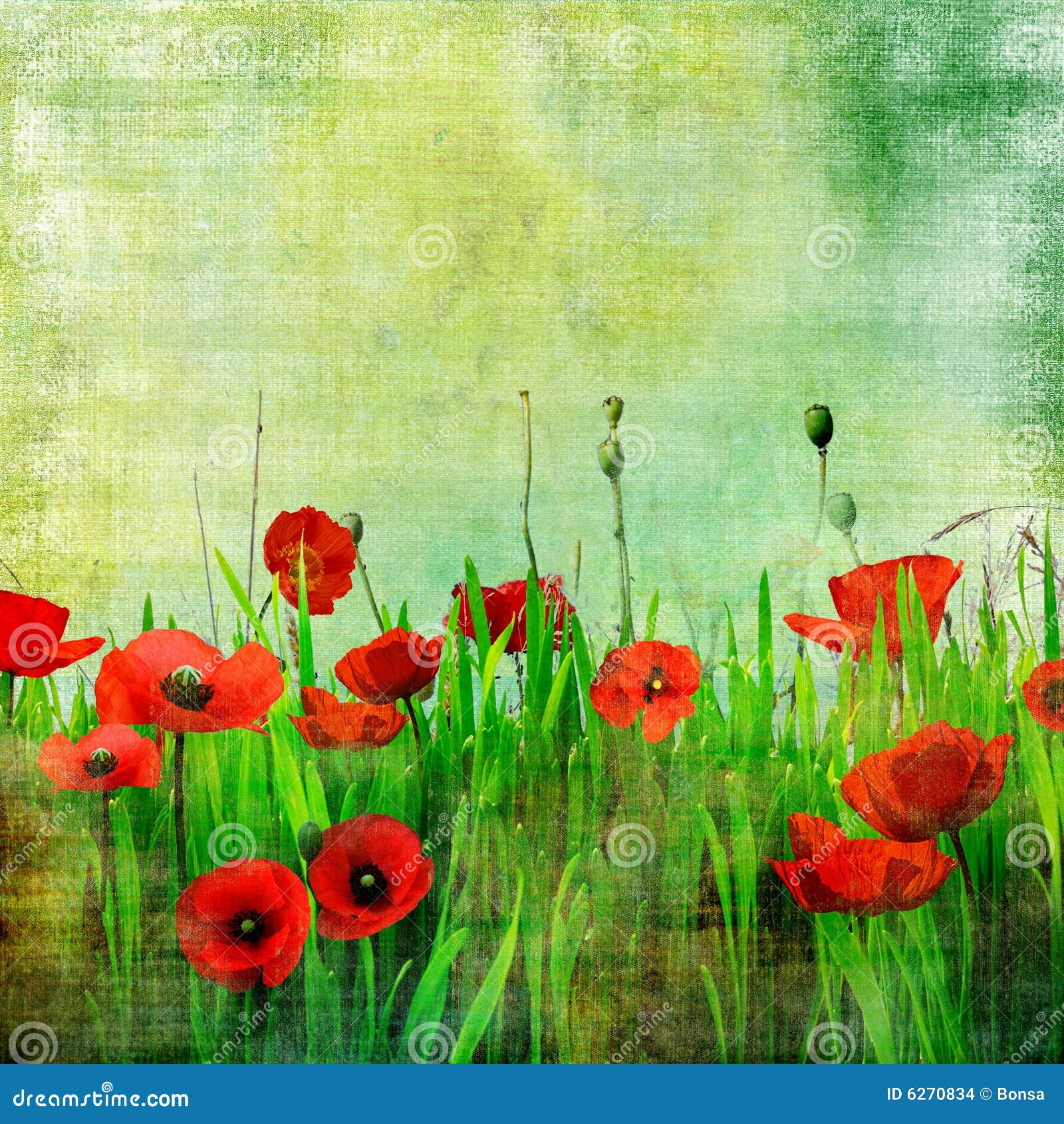 Vintage Poppy Field Illustration Megapixl