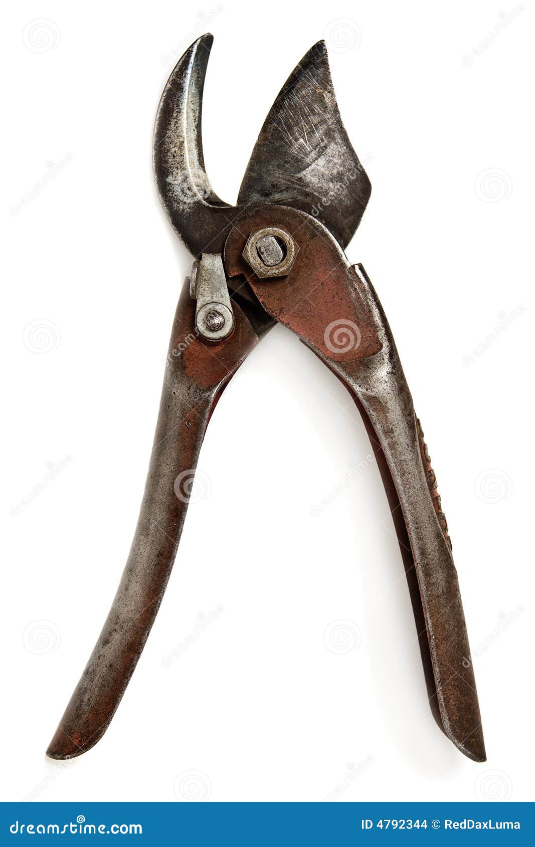 Vintage pruning shears stock photo. Image of white, vintage 4792344