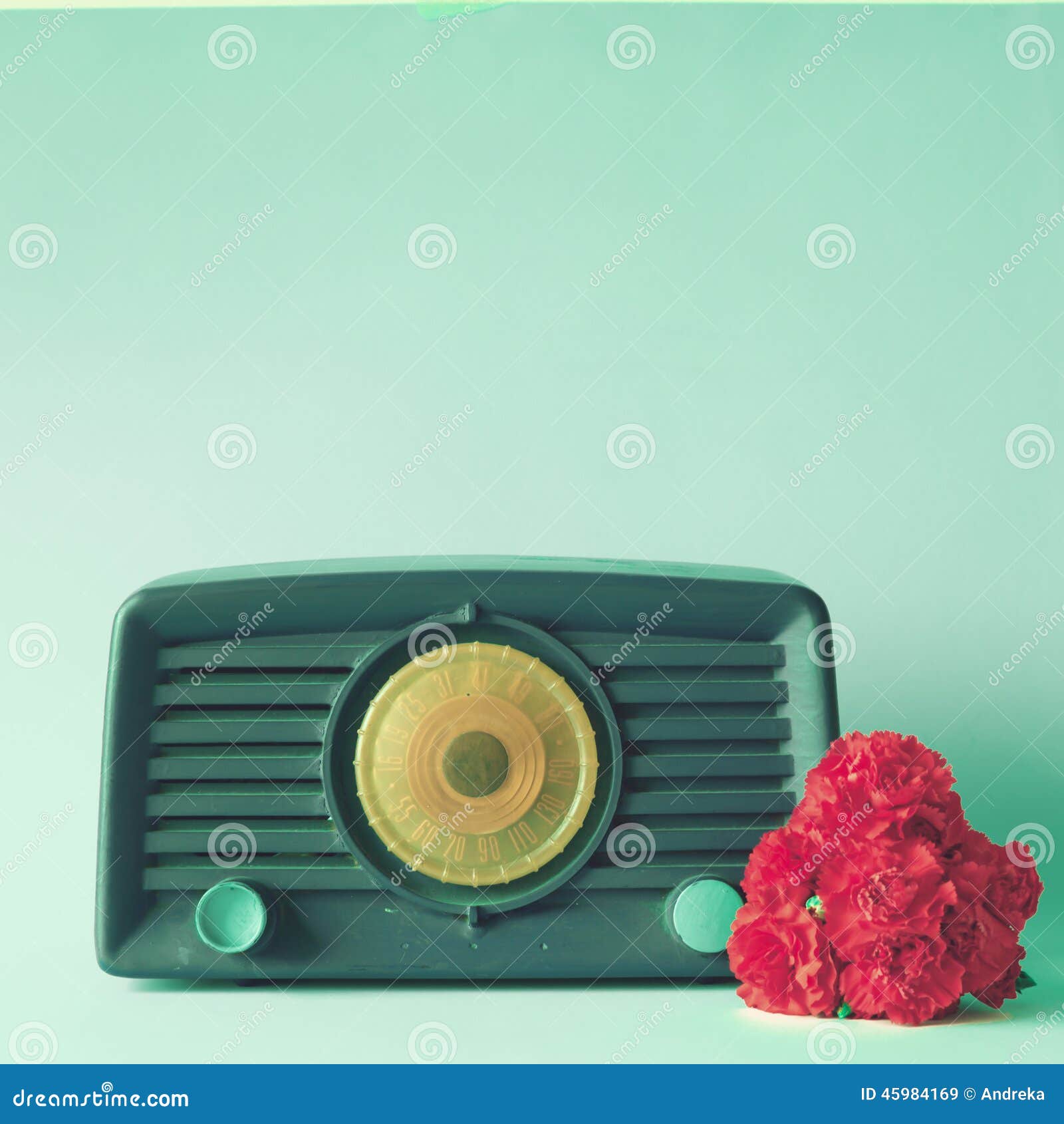 Vintage Radio and flowers stock image. Image of record 45984169