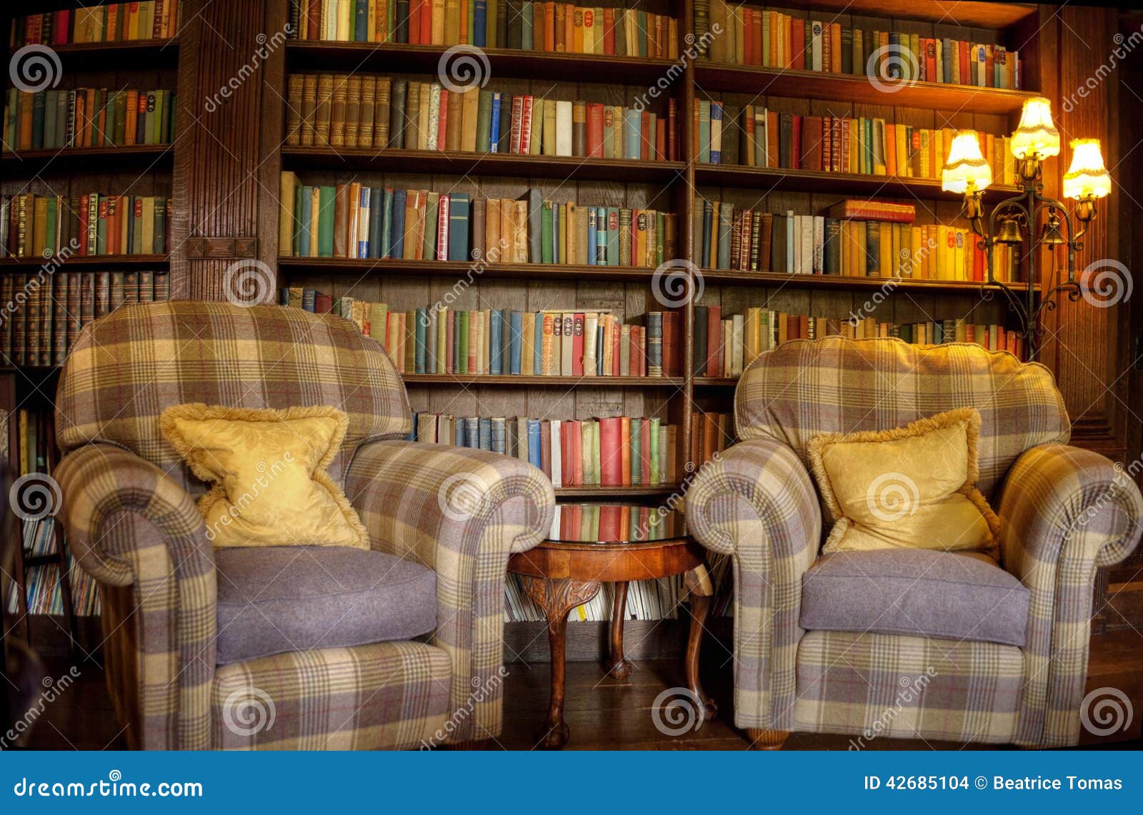 Vintage reading room stock photo. Image of game, archives 42685104
