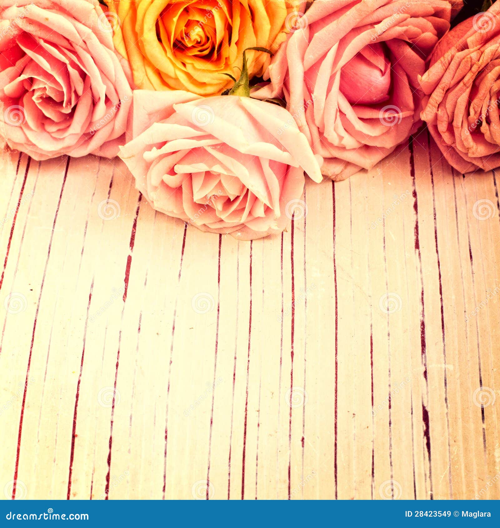  Background With Roses Royalty Free Stock Images - Image: 28423549