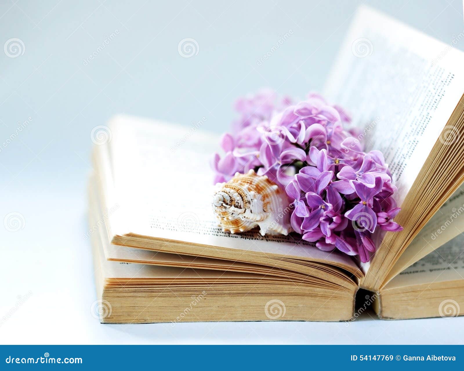 Vintage Romantic Background with Old Book, Lilac Flower, and Little ...