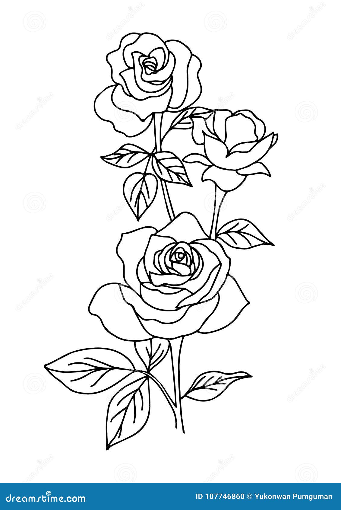 Black Outline Thistle With Rose Tattoo Stencil  Rose And Thistle Vector  HD Png Download  vhv