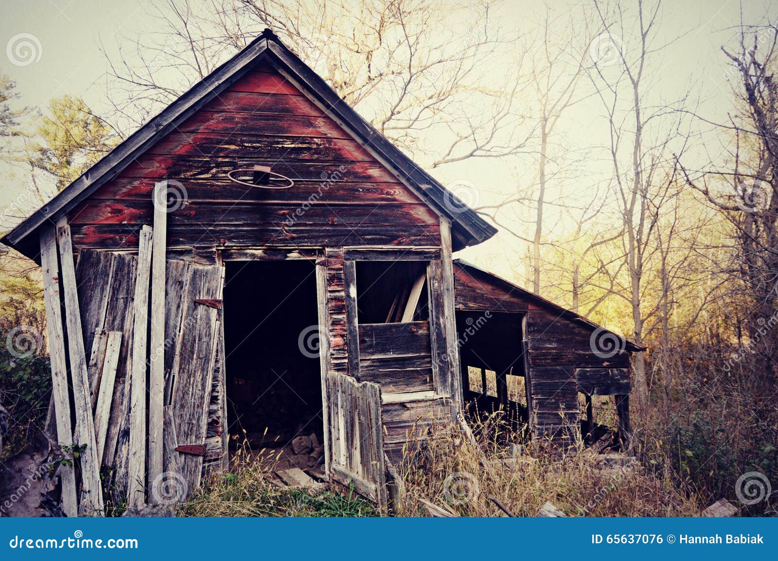 Vintage Shed stock photo. Image of hoop, haunted ...