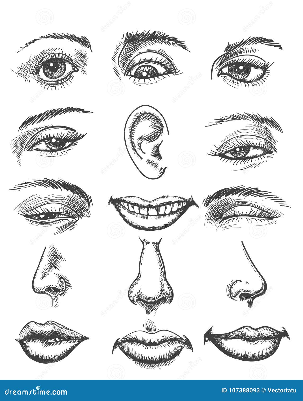 drawing nose