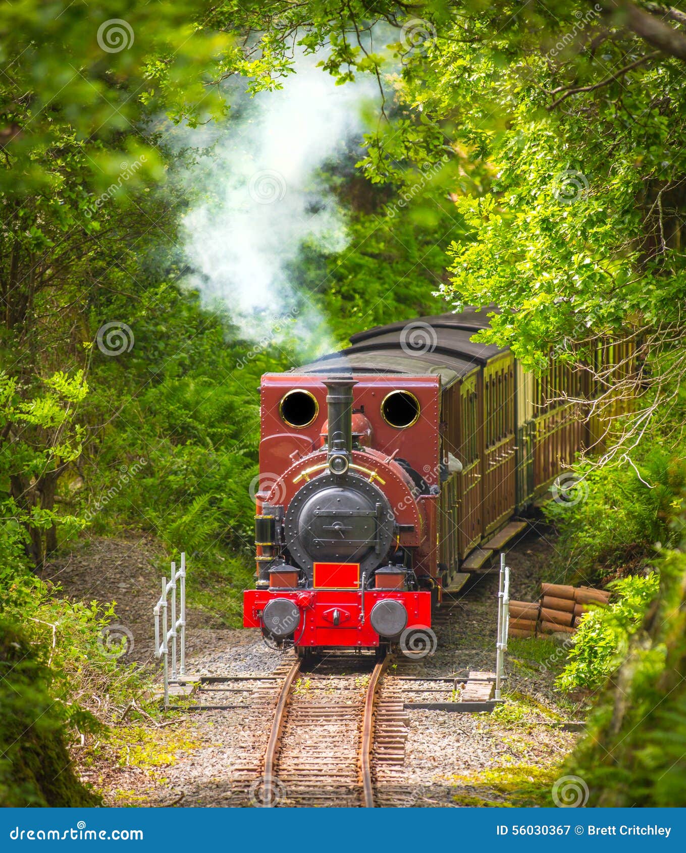 8,652 Red Steam Engine Stock Photos - Free & Royalty-Free Stock Photos from  Dreamstime