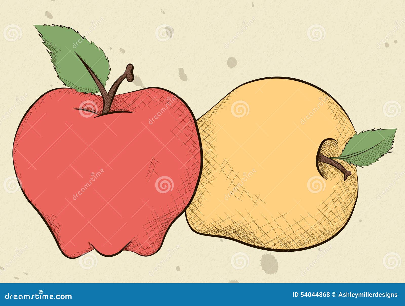 Vintage Style Apples stock vector. Illustration of nature 54044868