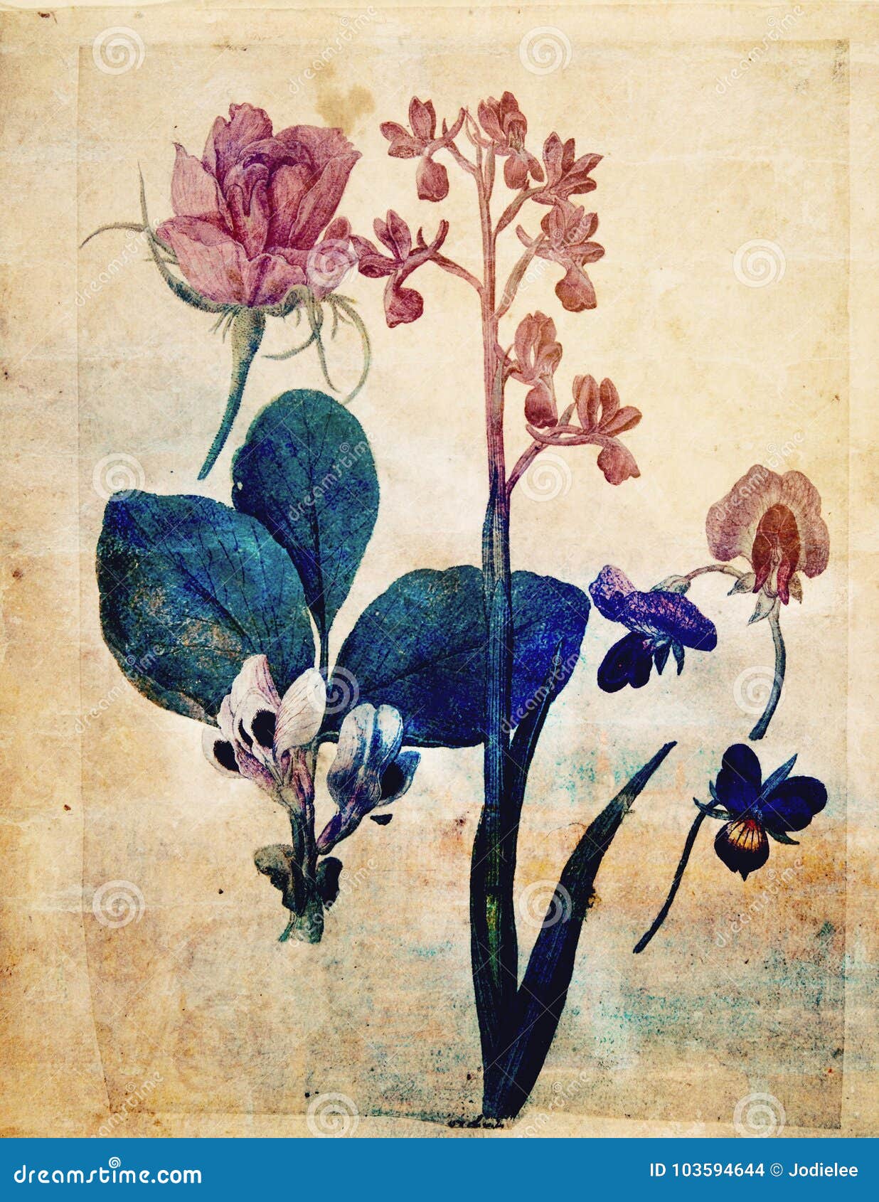 vintage style botanical flower wall art in rich colors