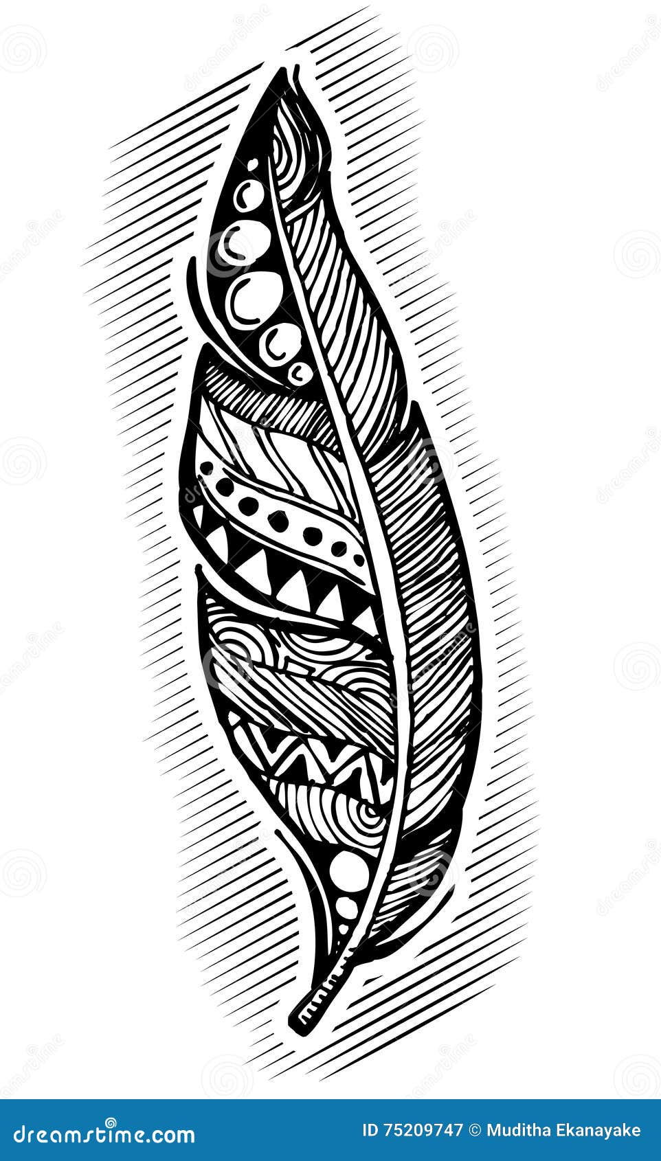 Vintage Style Feather Drawing Stock Vector - Illustration of document ...