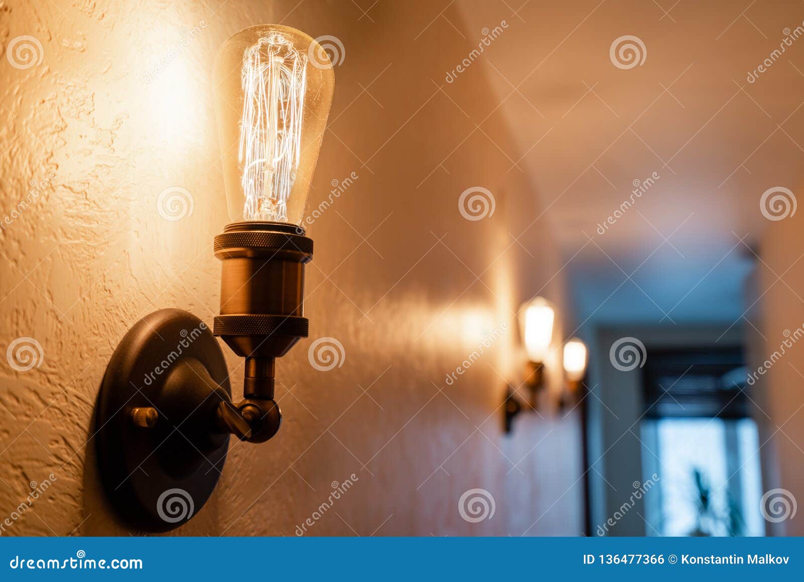 Vintage Style Light Bulbs. Glass Round Bulbs with a Spiral on Wall