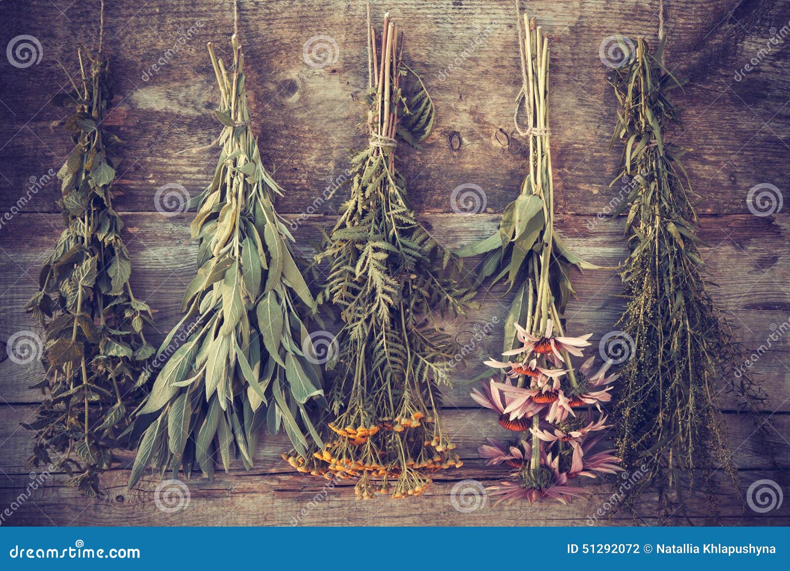 vintage stylized photo of bunches of healing herbs