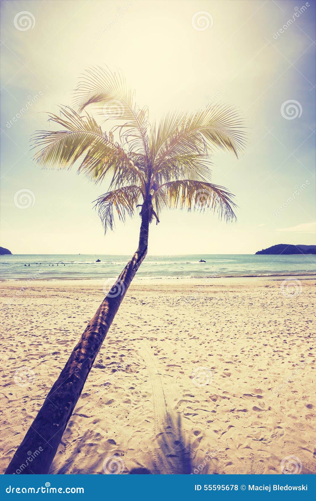Download Vintage Stylized Tropical Beach With Palm Tree At Sunset ...