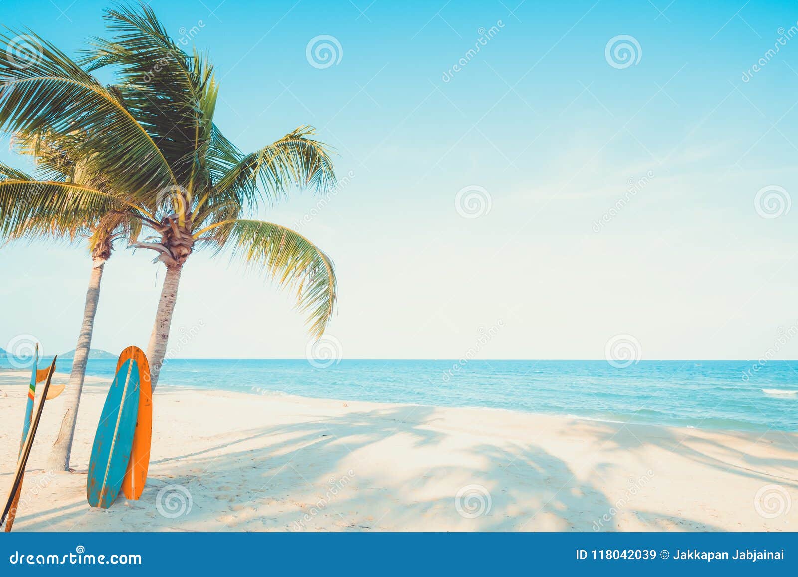 vintage surf board with palm tree on tropical beach