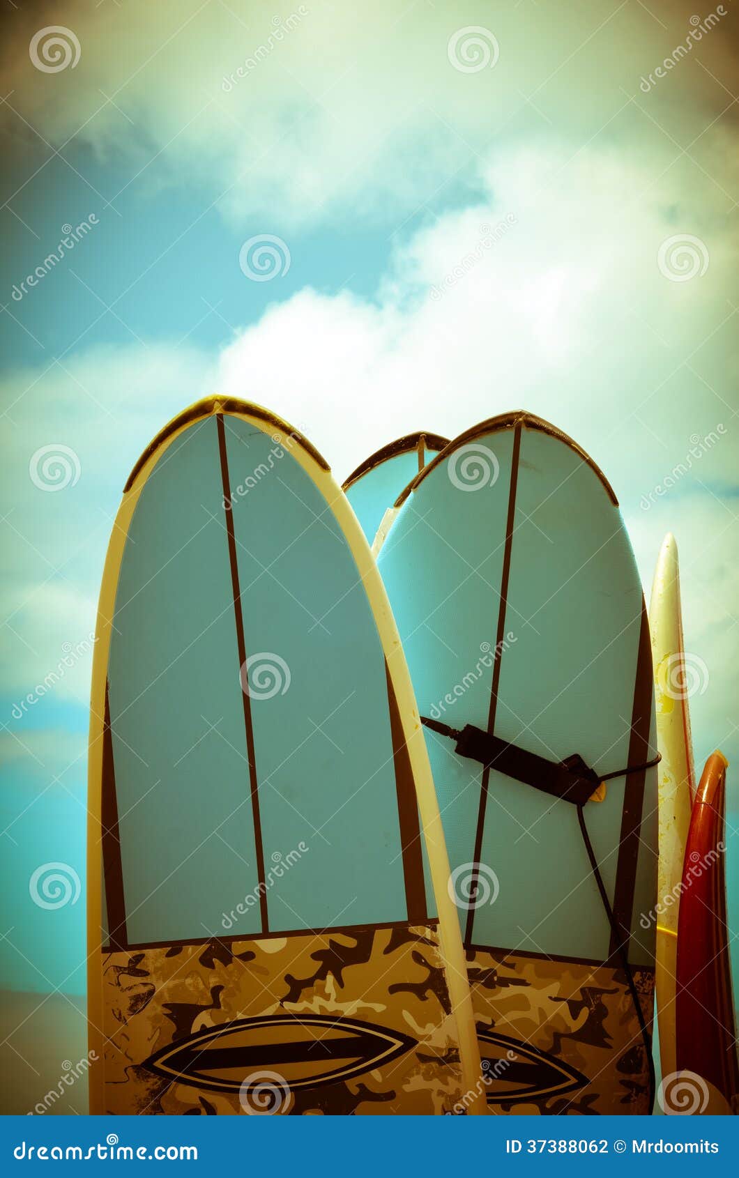 vintage surf boards