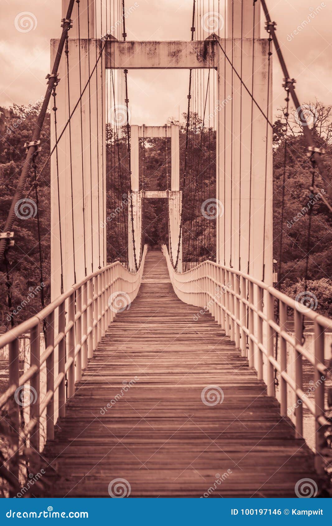 1,100+ Wood Hanging Bridge Stock Photos, Pictures & Royalty-Free
