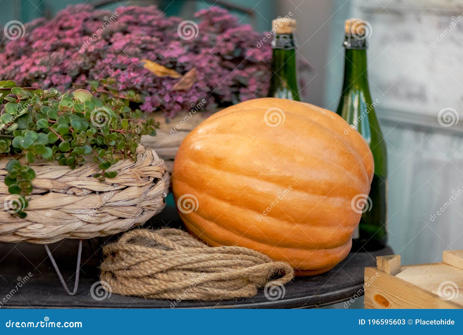 Vintage Table Decorated with Pumpkins and Plants for Thanksgiving Stock ...