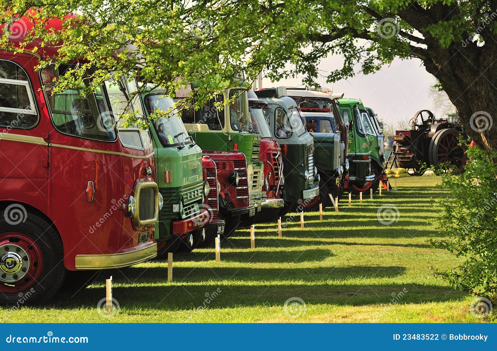 Vintage trucks competition editorial photography. Image of pristine