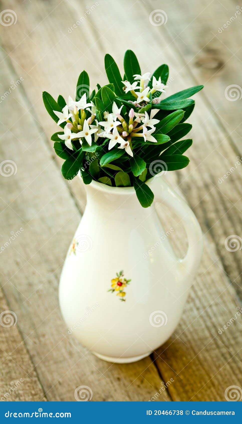Vintage Vase with White Flowers Stock Photo Image of fiber, moody