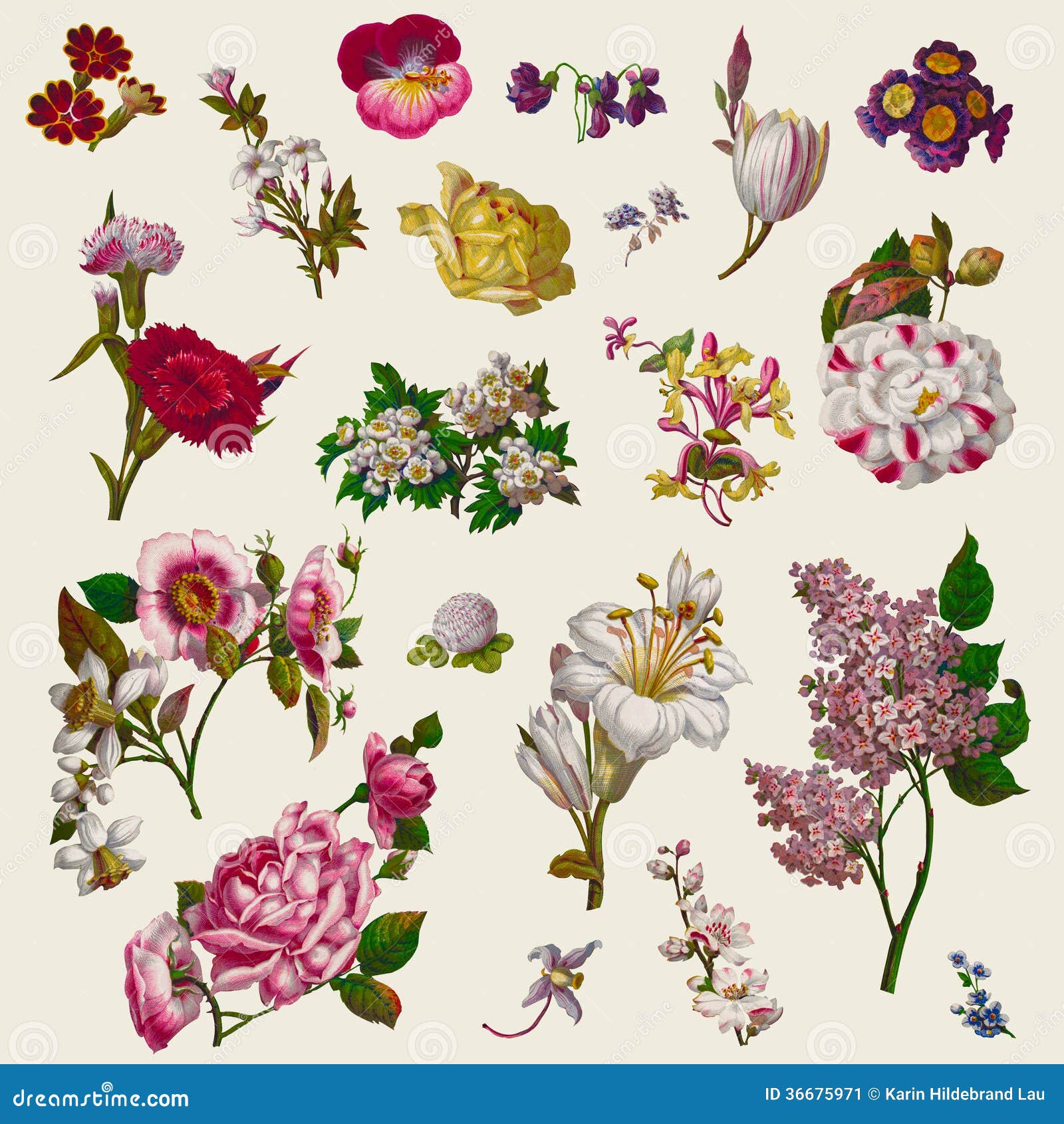 vintage victorian flowers clip art