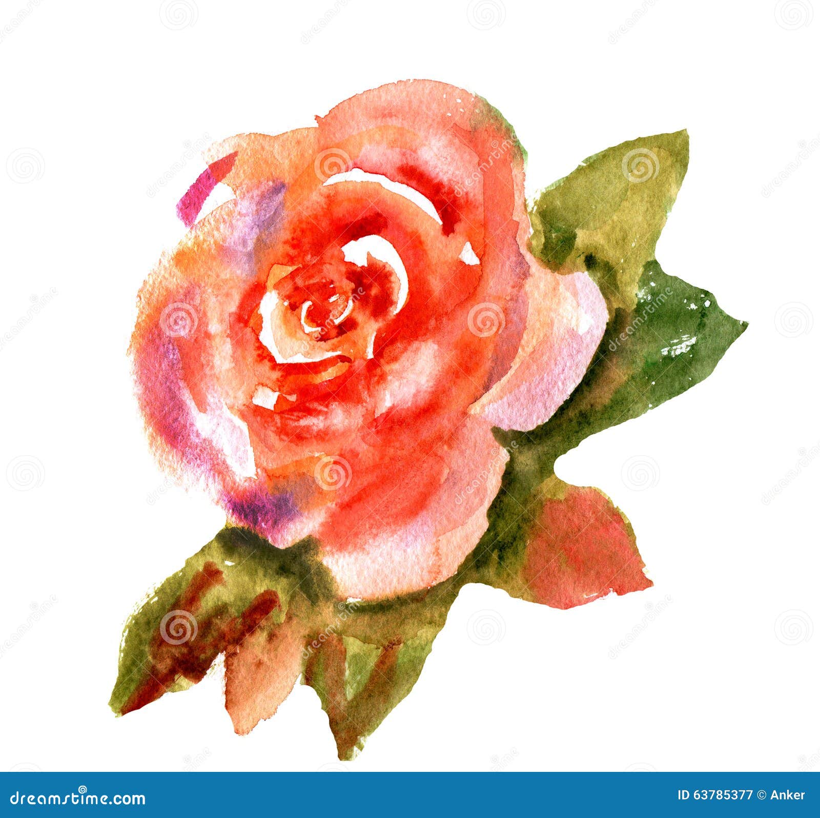 Vintage Watercolor Bright Red Rose Stock Illustration - Illustration of ...