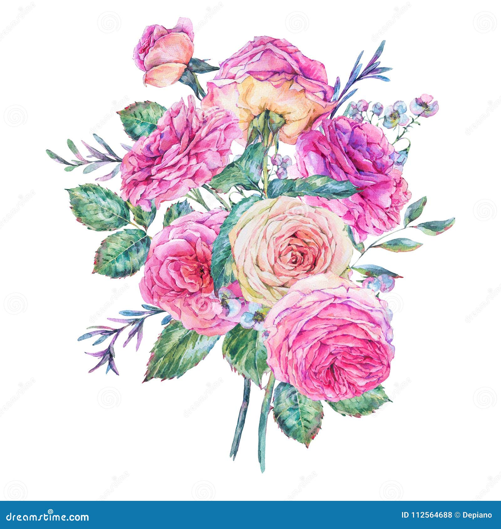 Vintage Watercolor Pink English Roses Stock Illustration - Illustration ...