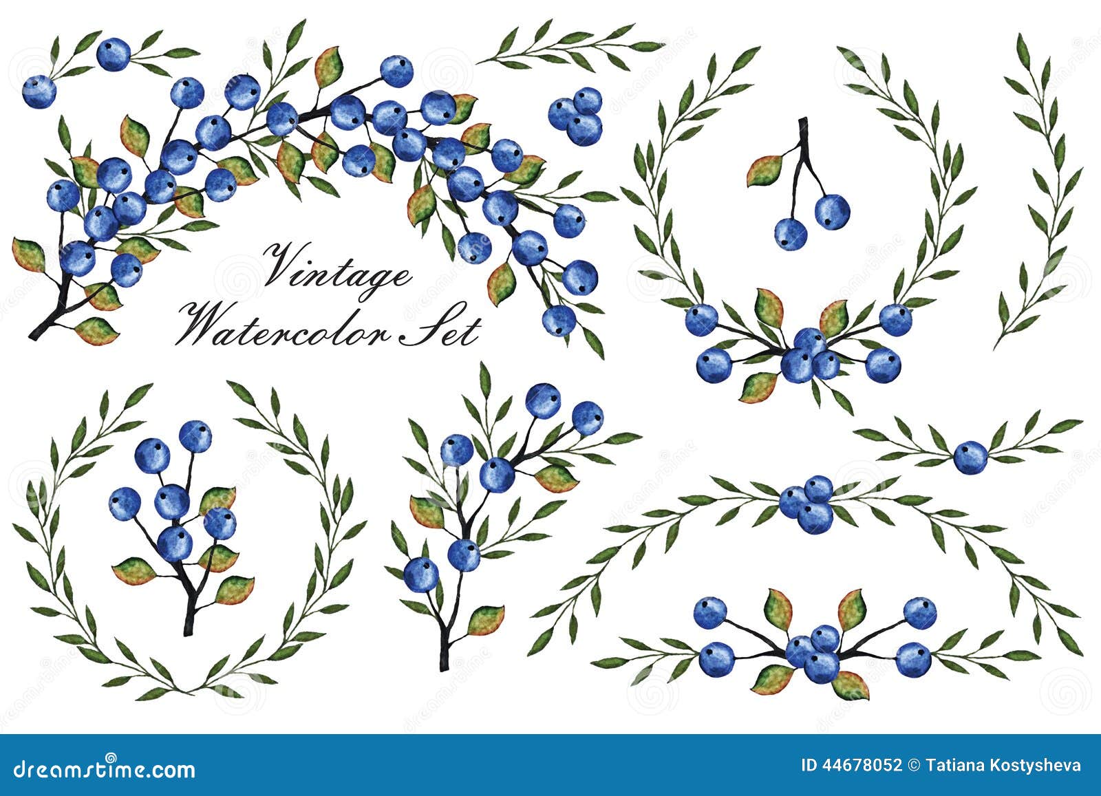 Vintage Blueberry Illustration | www.imgkid.com - The ... Vintage Blueberry Illustration | www.imgkid.com - The ... - 1300 x 957 jpeg 180kB