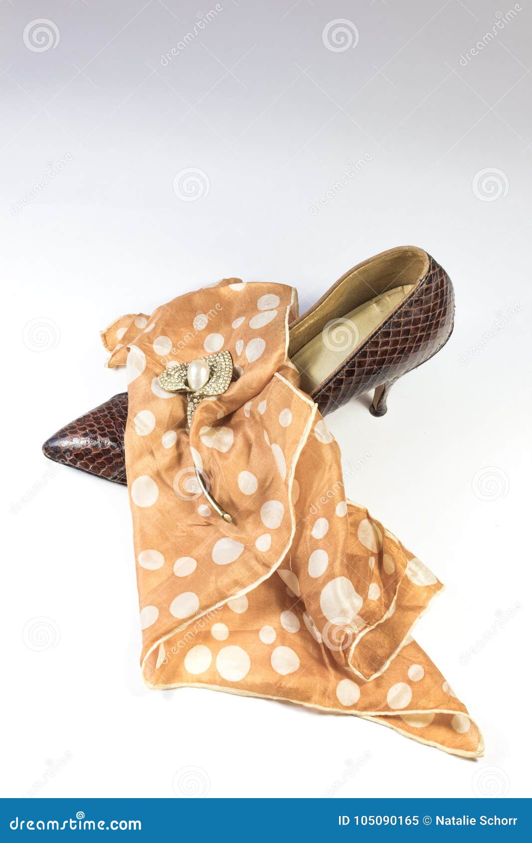 Vintage Women`s Snakeskin Shoe, Polka Dot Scarf, and Rhinestone Brooch ...