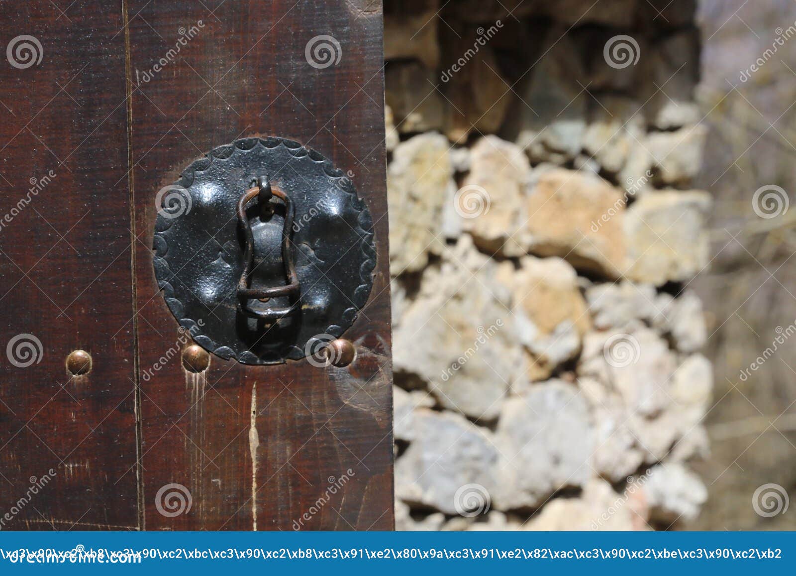 vintage wooden door, close up concept photo. security, metal.