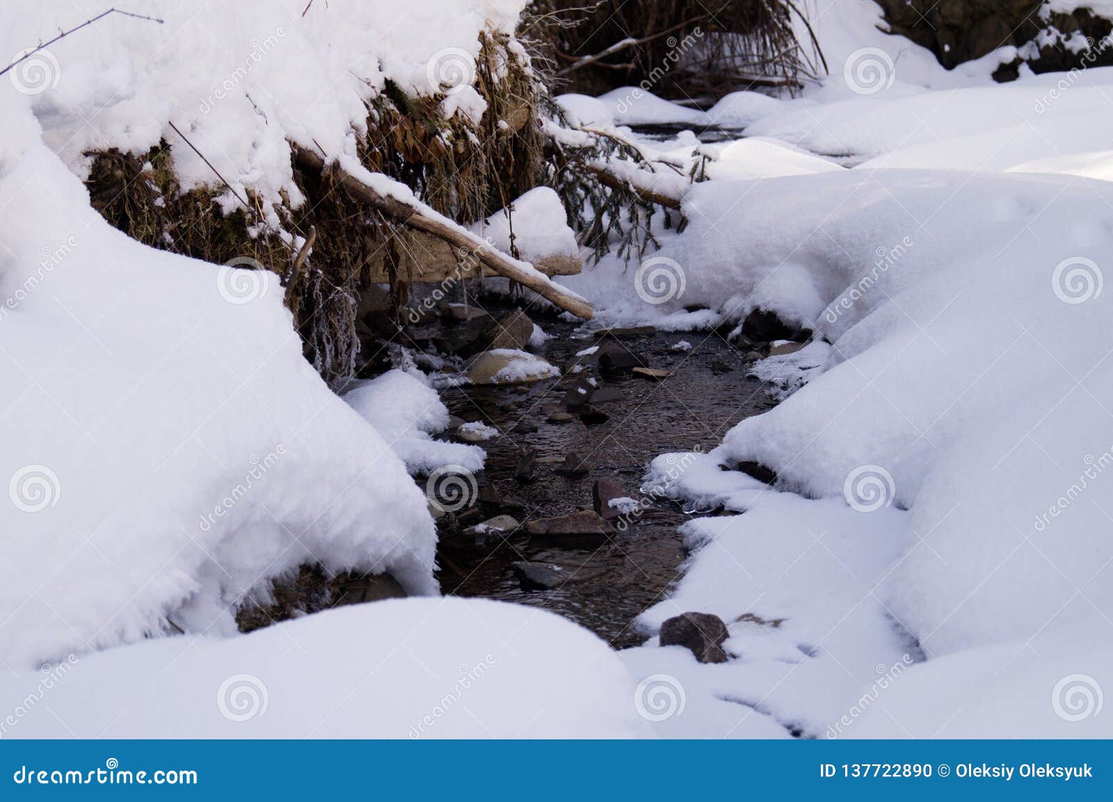 Vinteraffärsföretag Liten vik i snön carpathians ukraine. Vinteraffärsföretag carpathians ukraine Vandring och klättring i vinterbergen Gå i en snöig skog