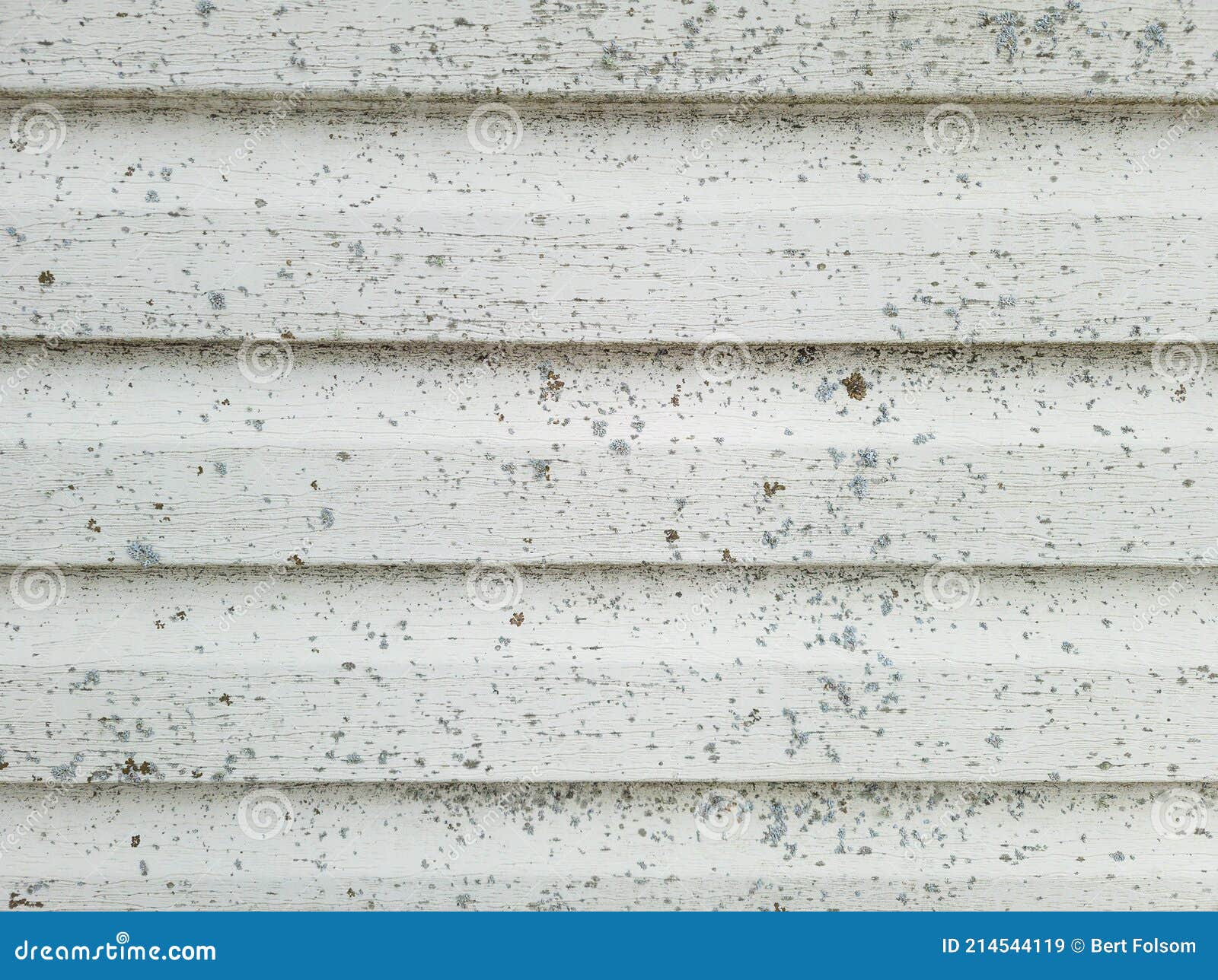 Vinyl Siding with Buildup of Lichen and Dirt Stock Image - Image of mold,  repair: 214544119