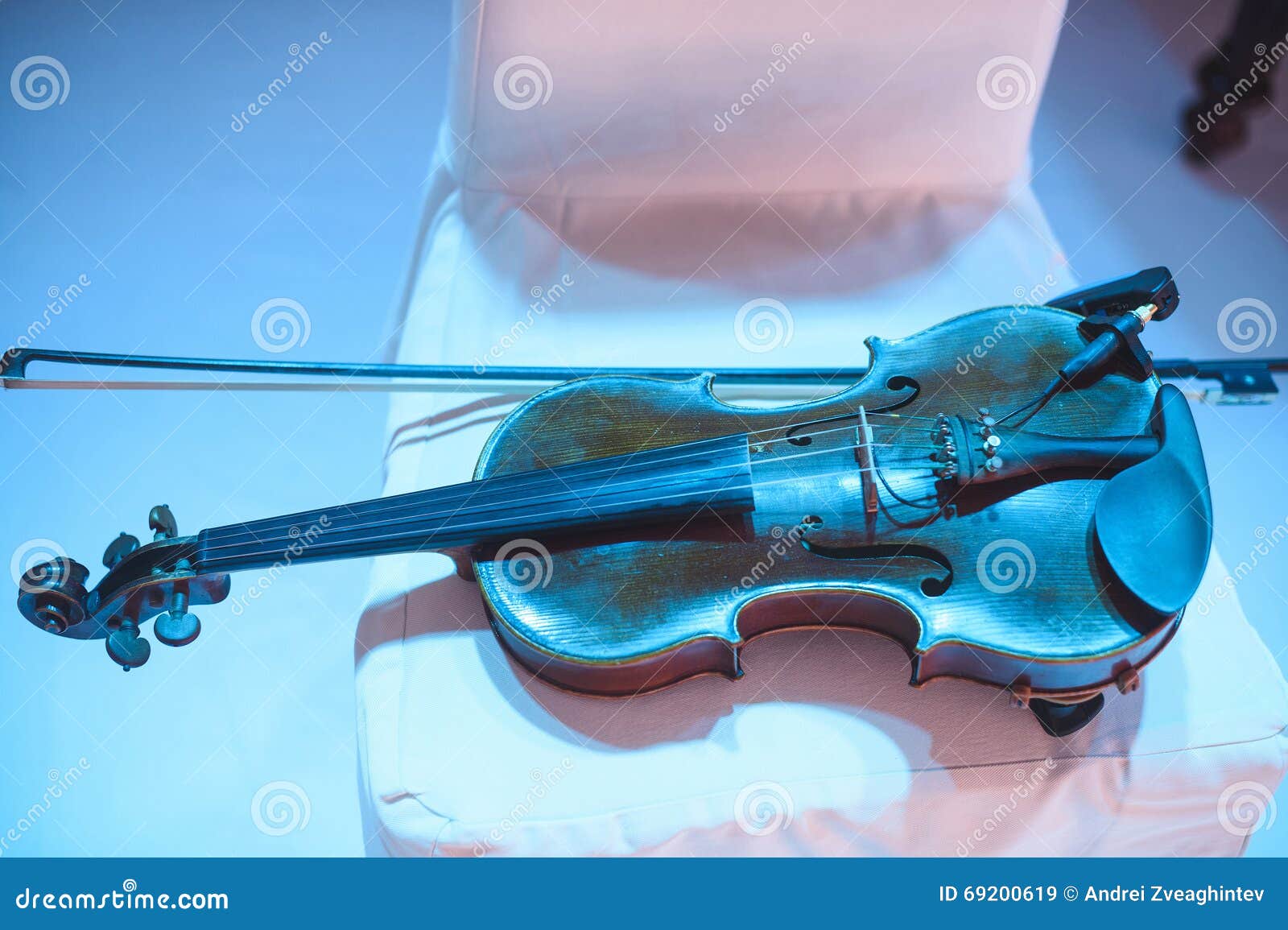 Viola in Blue Light stock image. Image of performing 69200619