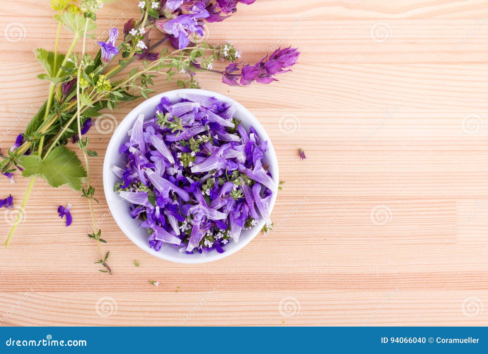 Violet, edible flowers stock photo. Image of purple, view 94066040