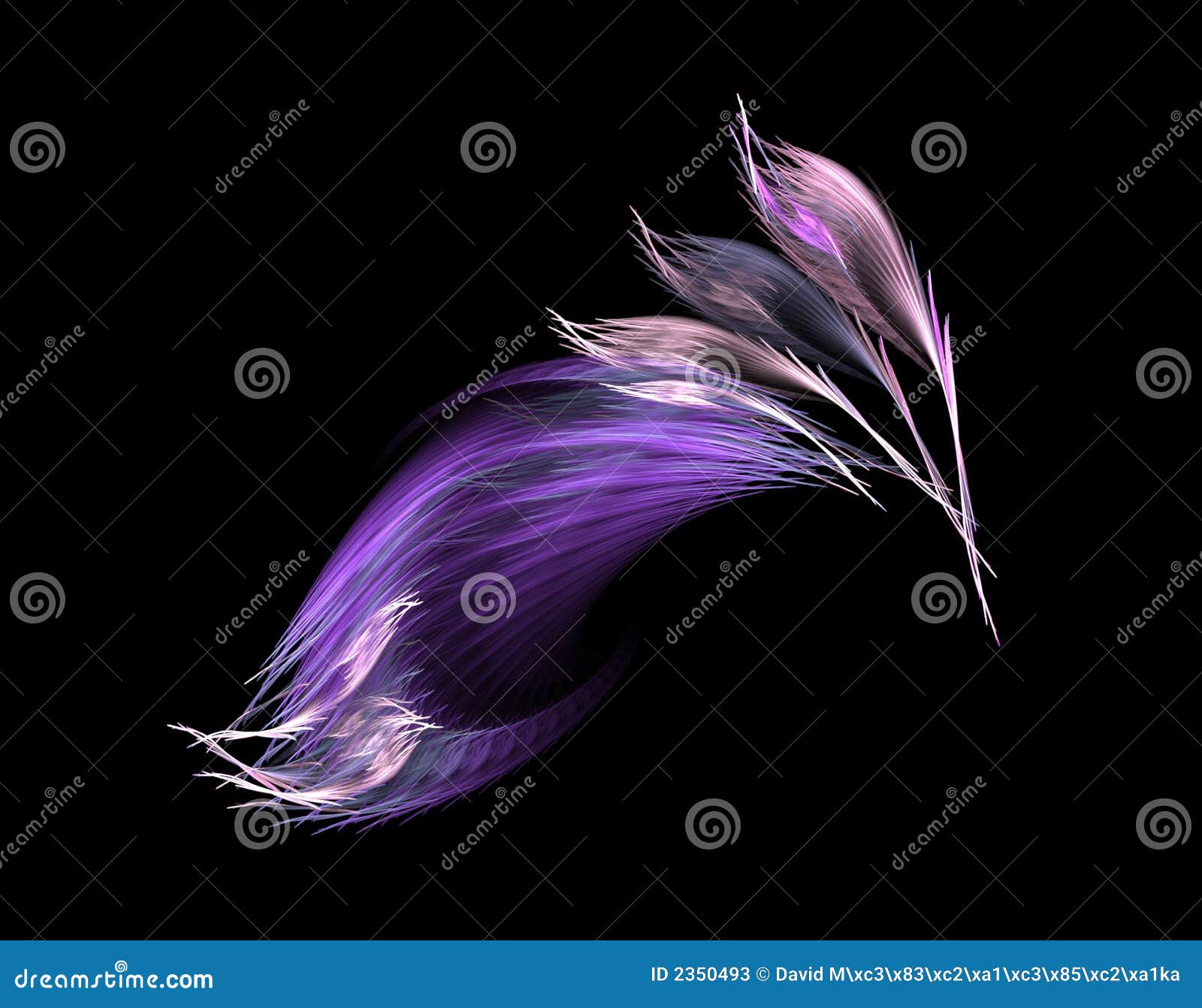 violet feathers