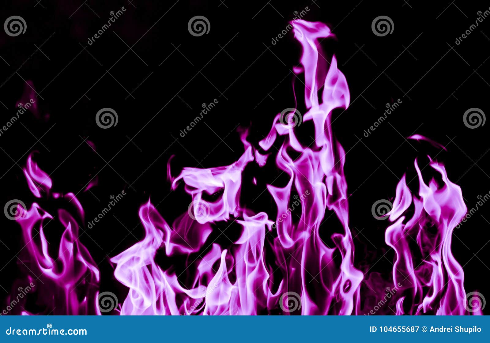 violet flame fire on black background