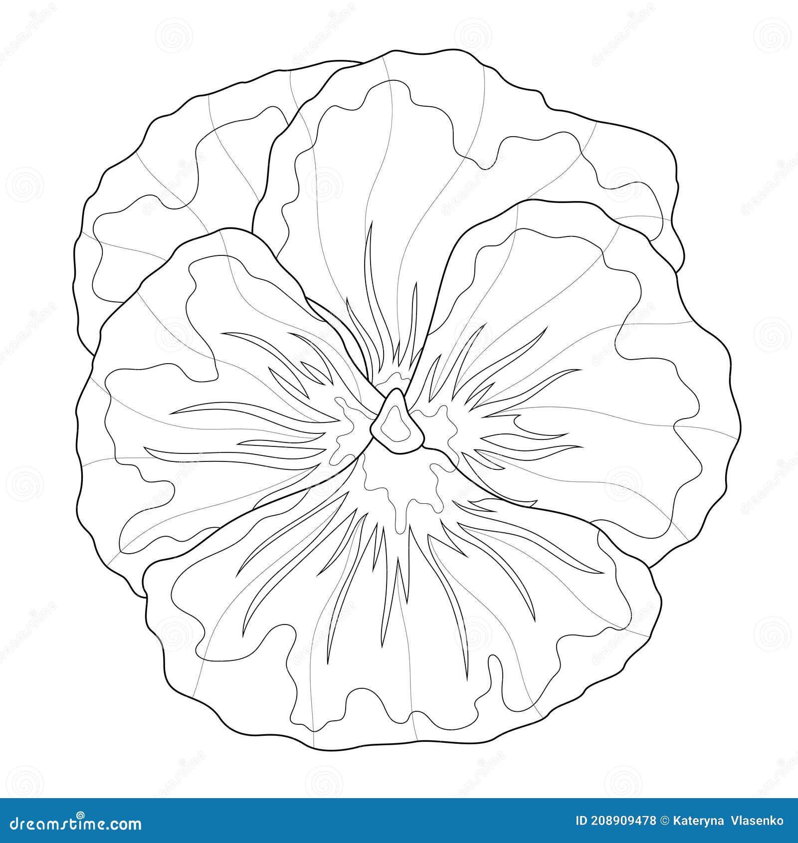 Pansy Outline Coloring Stock Illustrations 55 Pansy Outline Coloring Stock Illustrations Vectors Clipart Dreamstime