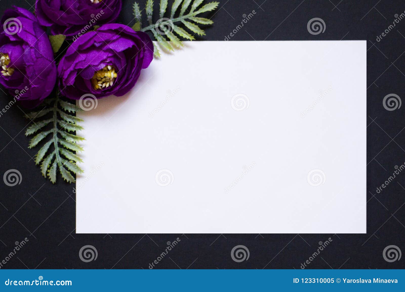 Violet Flowers On A Black Background White Rectangle On A Black Background A Blank For A Postcard Stock Image Image Of Texture Violet 123310005