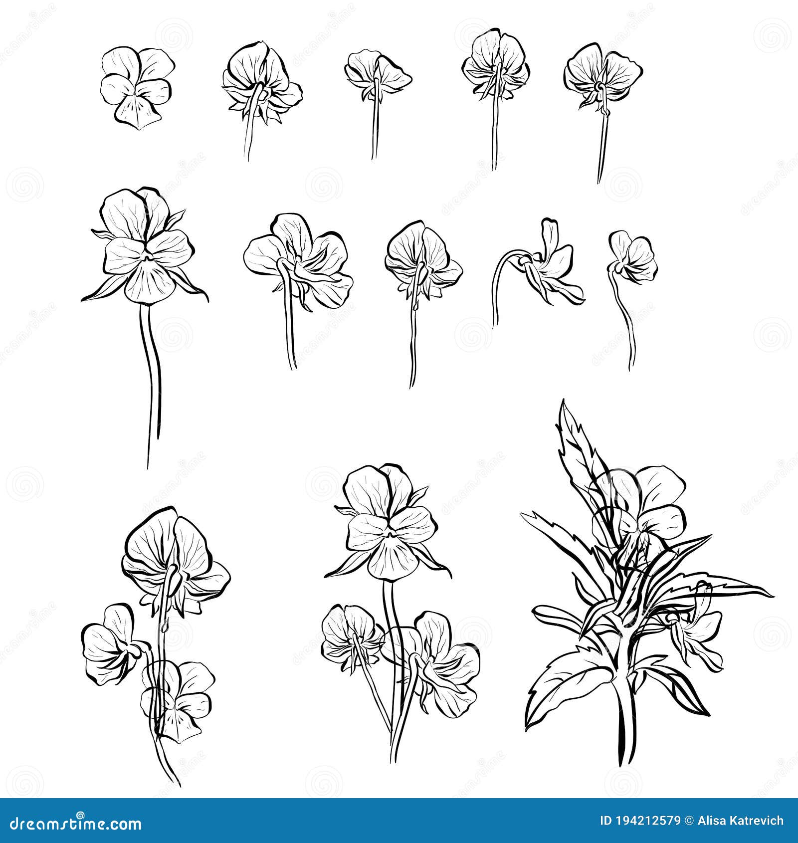 Violet Flower Vector Illustration Colection Set. Stock