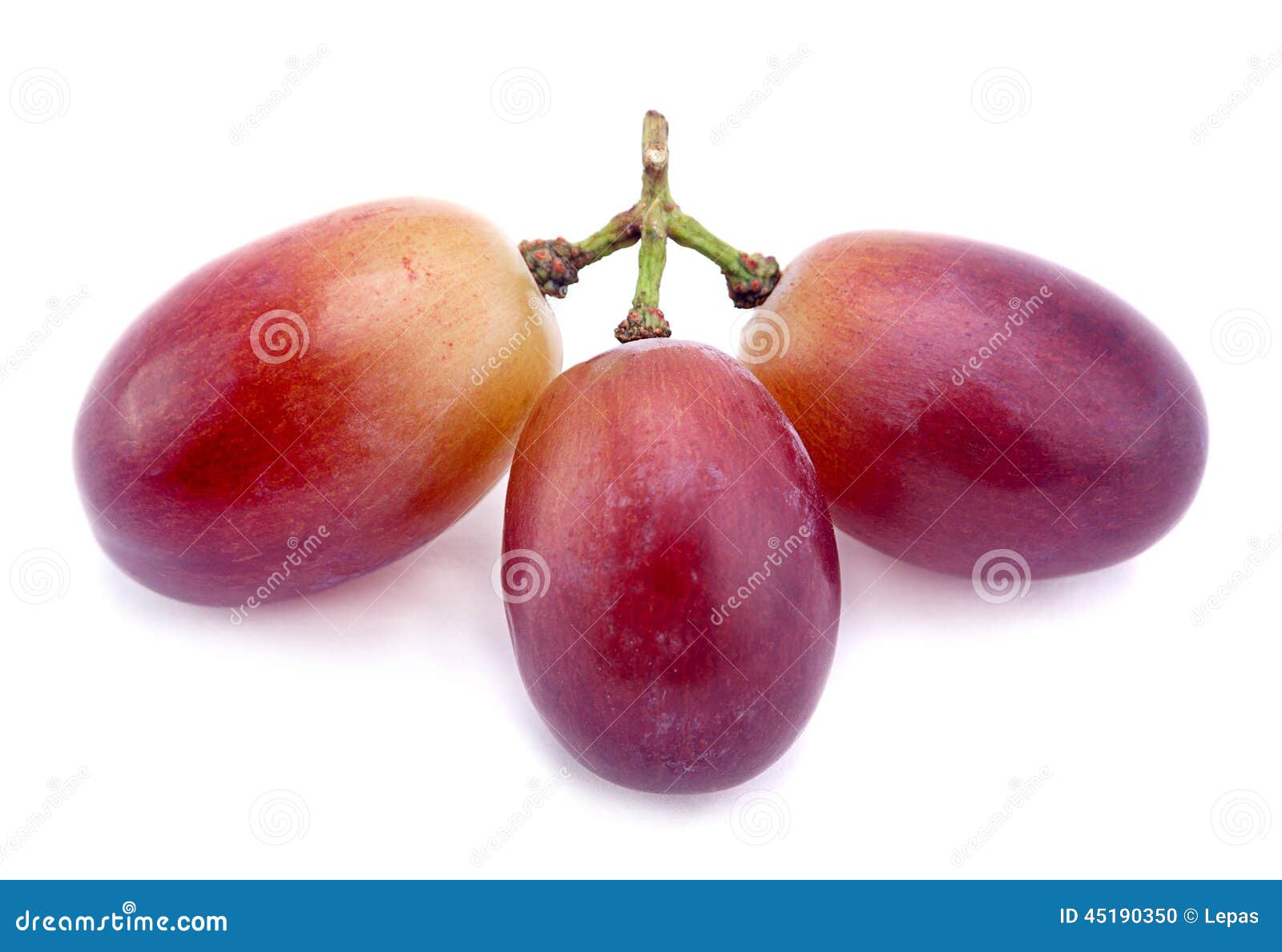 Violet grape berry stock photo. Image of harvest, natural 45190350
